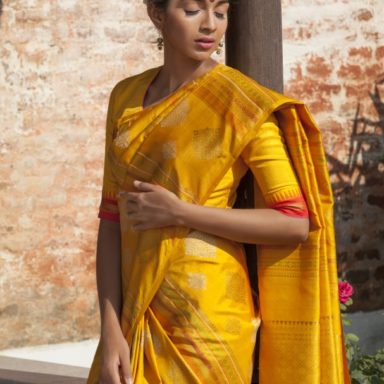 Amazing Saree draping style by Tia Bhuva #Cancansaree
