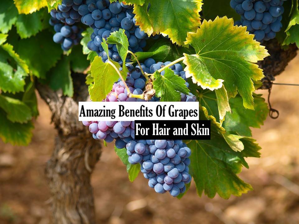 Amazing Benefit Of Grapes For Hair and Skin