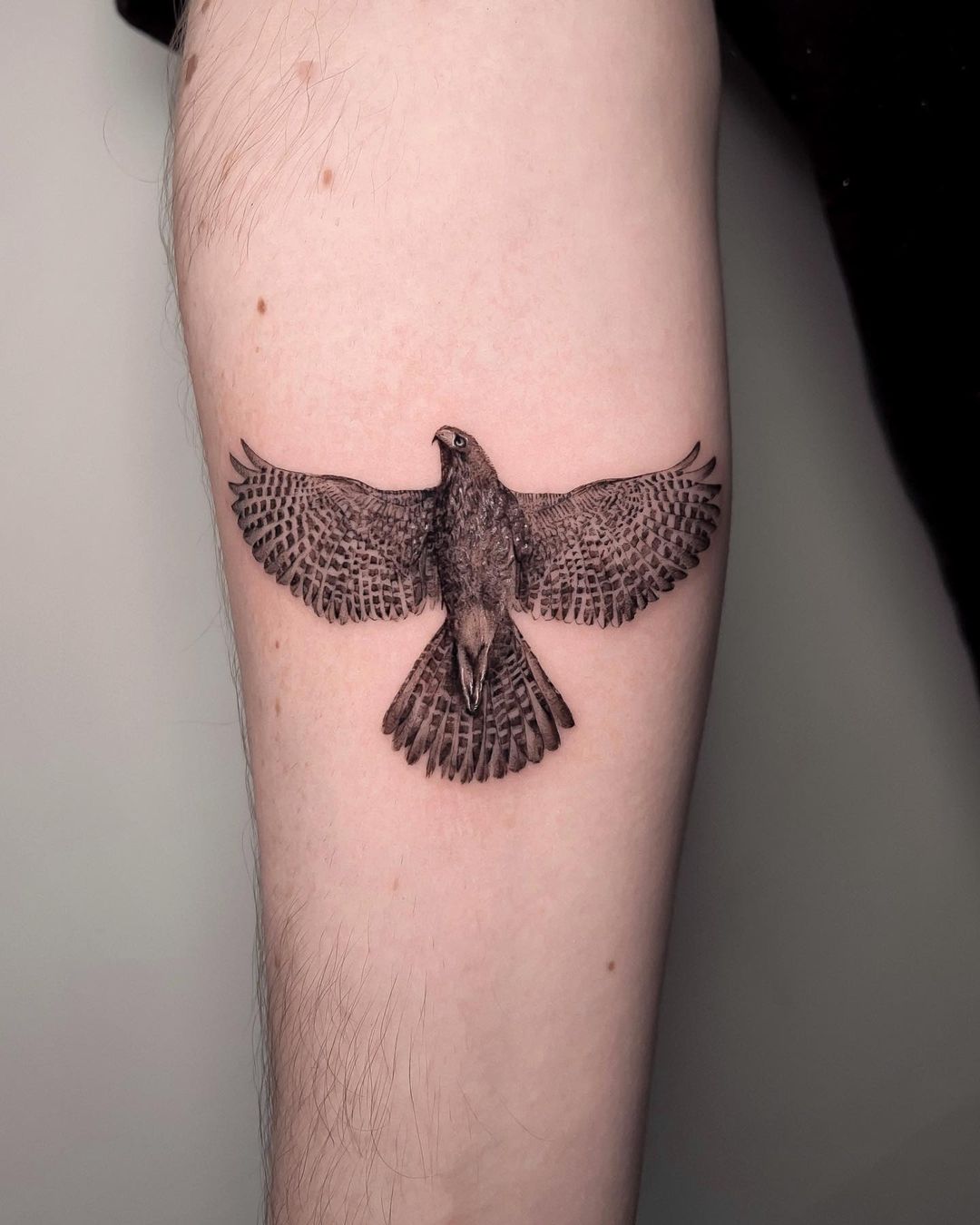 Bird Tattoo Ideas 